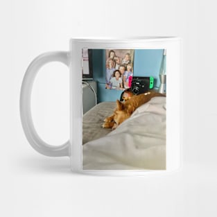 Chien natcho Mug